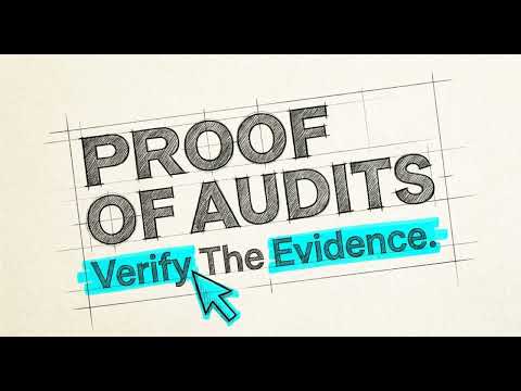 The Static Audit Fallacy